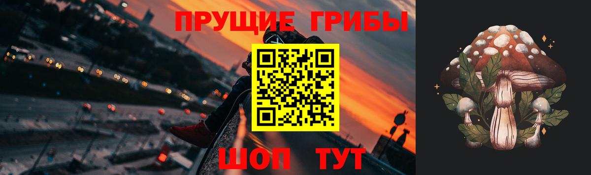 Мыски  Псилоцибиновые грибы прущие грибы  Вход с VPN 